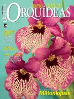 Como Cultivar Orquídeas